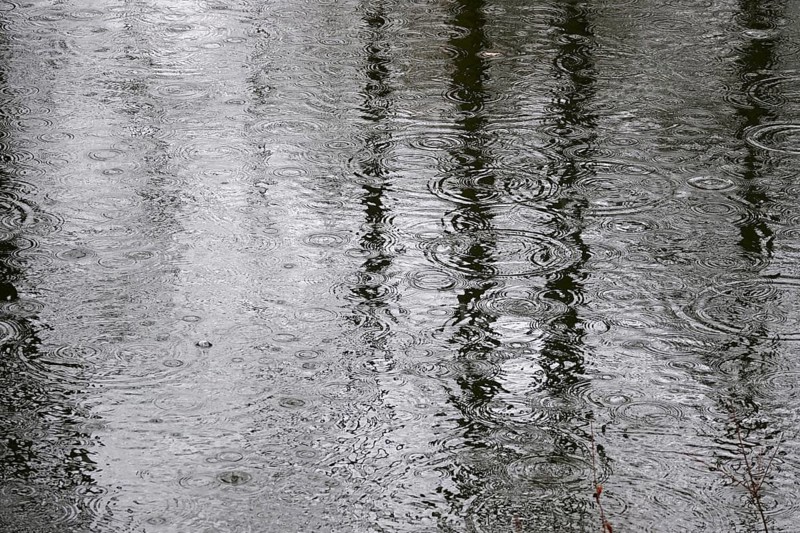 Lake with raindrops, spring, Germany