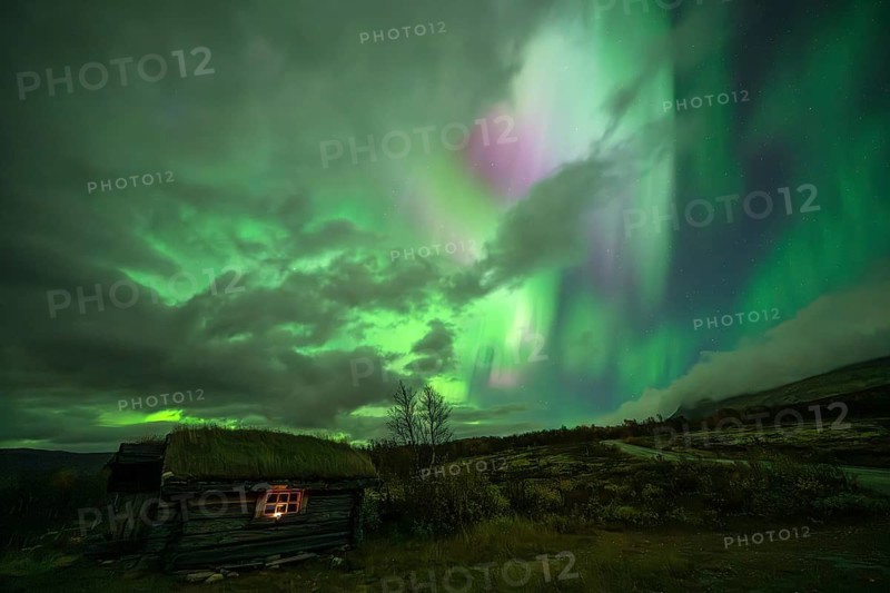 Northern lights, aurora borealis, over lonely log cabin in Dovrefjell-Sunndalsfjella National Park, Norway