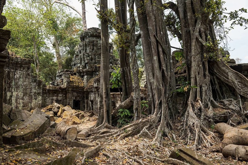 Prea Khan, Angkor Wat, Angkor, UNESCO World Heritage Site, Siem Reap, Cambodia, Indochina, Southeast Asia