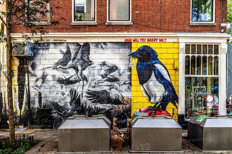 Witte de Withstraat, nightlife and cultural scene, Rotterdam, the Netherlands