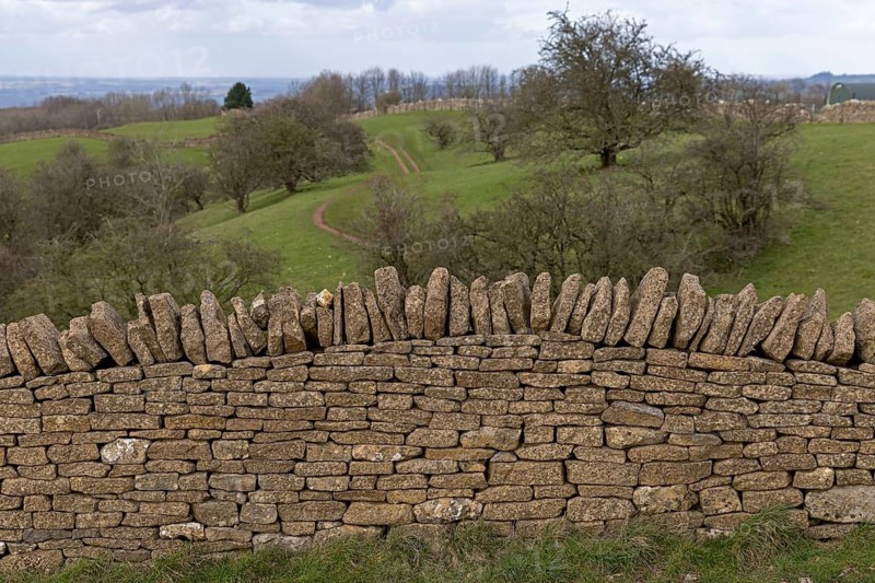 Stone wall, winter trees, meadows, hills, Broadway, The Cotswolds, England, Great Britain