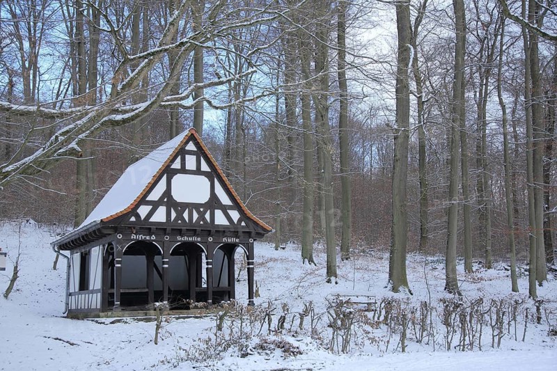 Schutzhütte Alfred Schulte Hütte built in 1937 in winter with snow, forest, Dambachtal, Wiesbaden, Taunus, Hesse, Germany