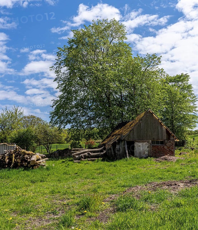 Abandoned and derelict farmhouses on undeveloped land in Rügen, Mecklenburg-Vorpommern, Germany
