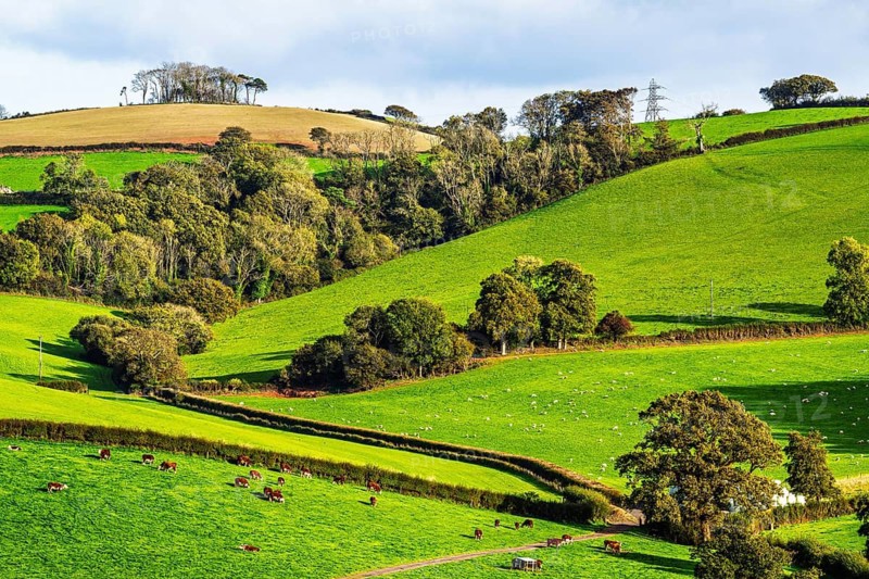 Colours of Devon Farms and Fields over Paignton and Berry Pomeroy, Totnes, England, United Kingdom