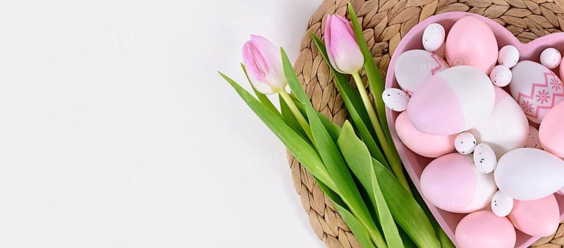 Banner with Easter eggs in heart shaped plate and tulip flowers with copy space
