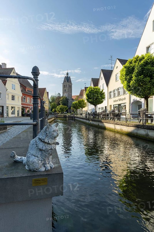 Bronze sculpture by Cornelia Brader: City tomcat Chicco at the city stream, behind it Our Lady's Church, Memmingen, Allgäu, Bavaria, Germany