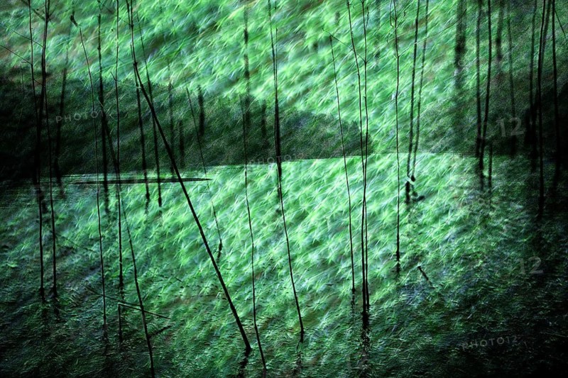 Fantasy landscape, Oestertalsperre Reservoir, Plettenberg, North Rhine-Westphalia, Germany, Europe, digitally edited