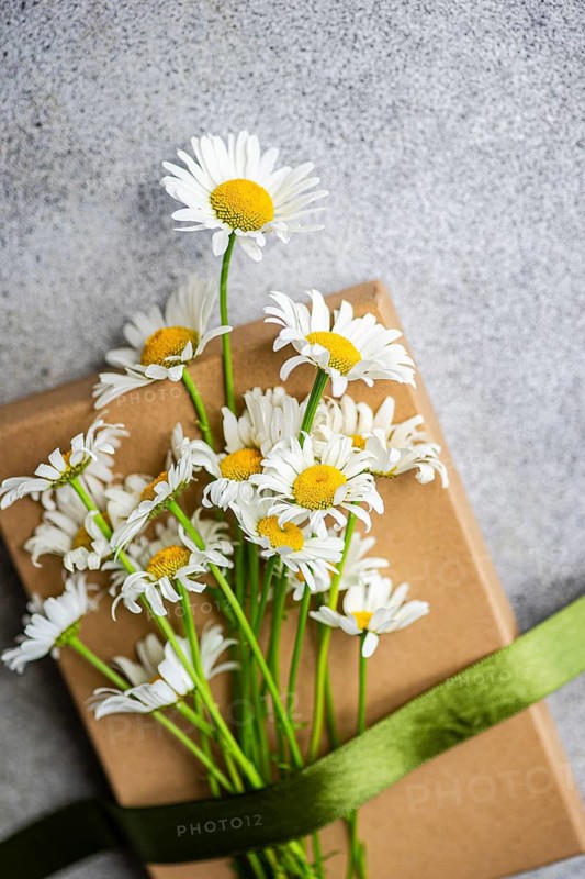 Top view of delicate daisies elegantly laid on a gift box, wrapped with a green ribbon, set against a textured concrete background, capturing spring's essence