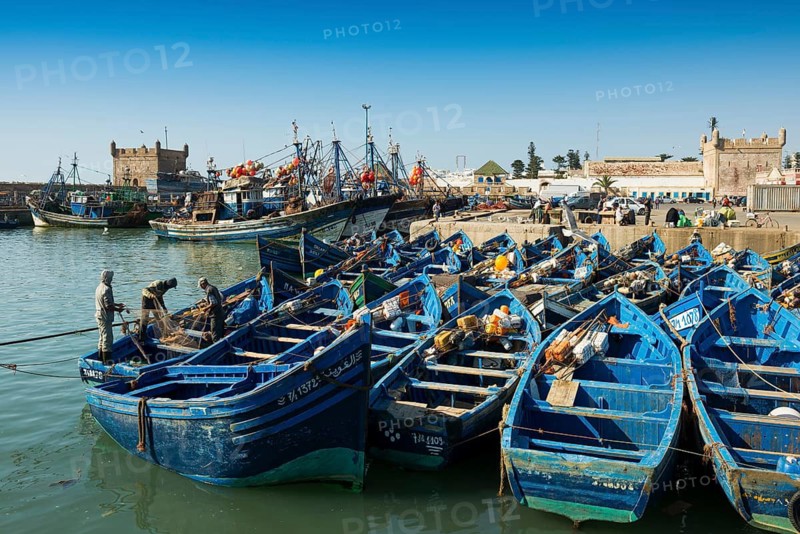 Fishing boats, fishing port, Essaouira, UNESCO World Heritage Site, Atlantic coast, Morocco