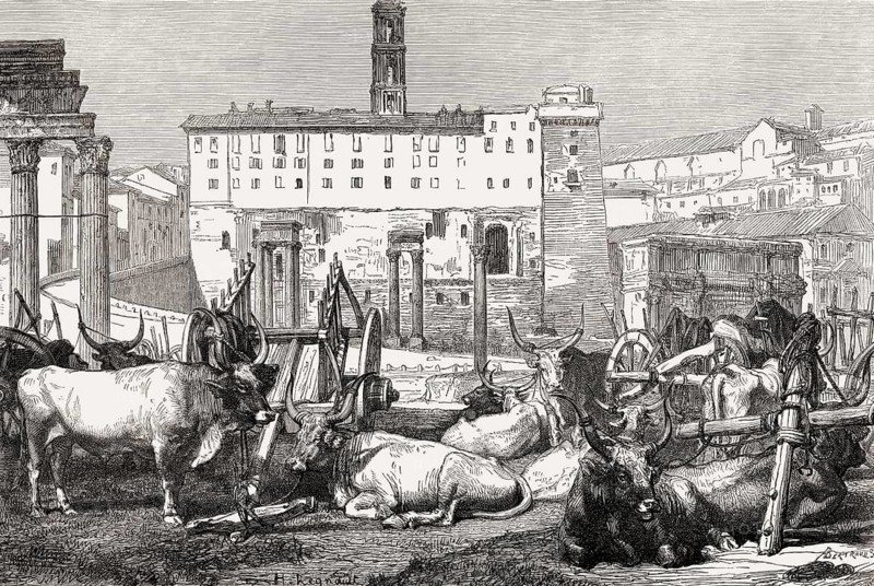 The Roman Forum or Forum Romanum, Rome, Italy, 19th Century