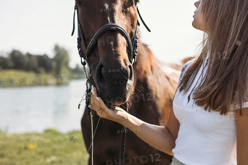 A close up of a young girl feeding a horse on a sunny day near a river. The serene setting highlights the bond between human and animal amid natural beauty