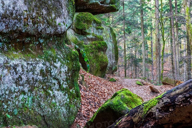 Winter atmosphere in the Hägeles- und Brunnenklinge nature reserve in the Swabian-Franconian Forest, Baden-Württemberg, Germany. Narrow forest path between striking rock formations, covered with moss, in a quiet protected low-mountain landscape. Ideal for nature and landscape imagery from southern Germany