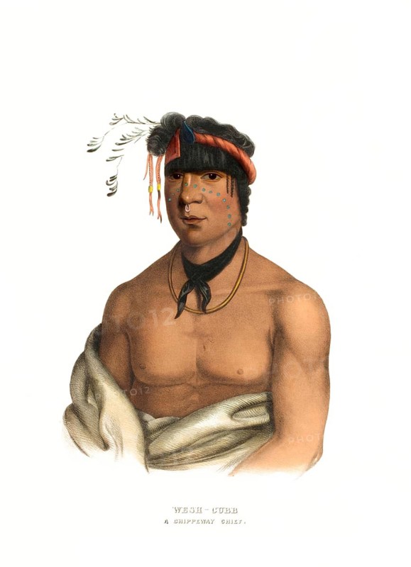 American Indian, Native American, Wesh-Cubb, Chief of the Chippeway Tribe, United States of America, USA, Painting by Charles Bird King (1785, 1862), c. 1840, Historic, digitally restored reproduction from a 19th century original, Record date not stated