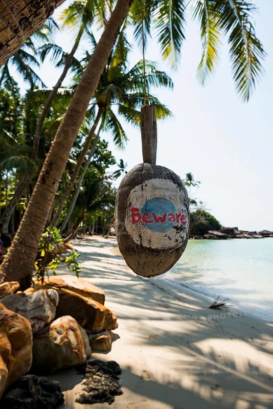 Sandy beach beach with coconut palms, Haad Khlong Hin Beach, Koh Kood, Koh Kut, Gulf of Thailand, Thailand