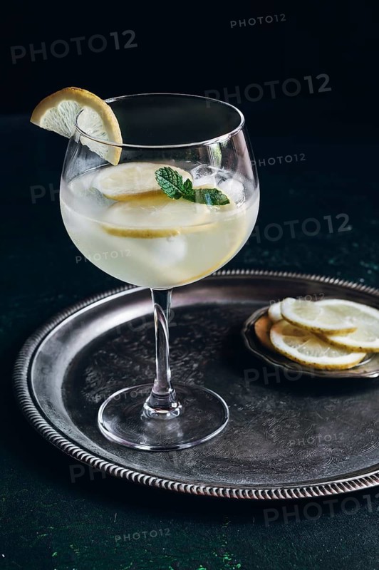 A refreshing gin tonic with ice, lemon slices, and mint garnish served in a tall glass on a decorative metal tray, capturing a sophisticated and classic cocktail vibe