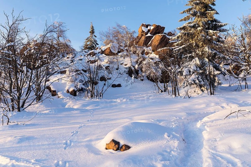 Großer Lugstein, winter landscape with snow-covered trees and branches covered with hoarfrost on the Ore Mountains Ridge at sunset, Zinnwald-Georgenfeld, Altenberg, Eastern Ore Mountains, Saxony, Germany