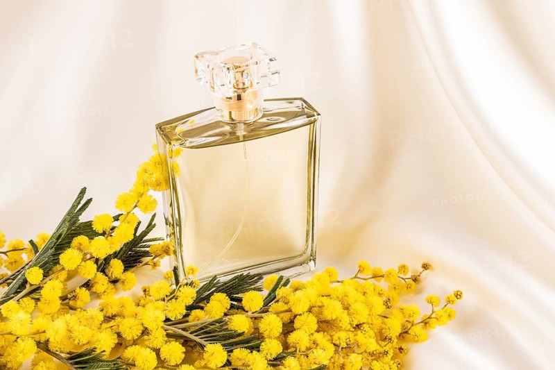 A clear glass perfume bottle sits elegantly with vibrant yellow mimosa flowers on a soft, cream silk fabric background, creating a sense of luxury and freshness