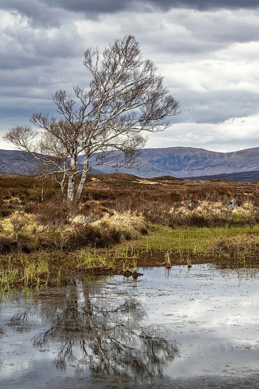Rannoch Moor over Loch Ba and Loch of the Armpit, A82 Highland Way, Argyll and Bute, West Highlands, Scotland, United Kingdom