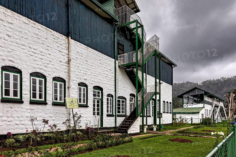 Historic stone building with green stairs and lots of windows against a cloudy sky, The Nuwara Eliya Sri Lanka Racecourse