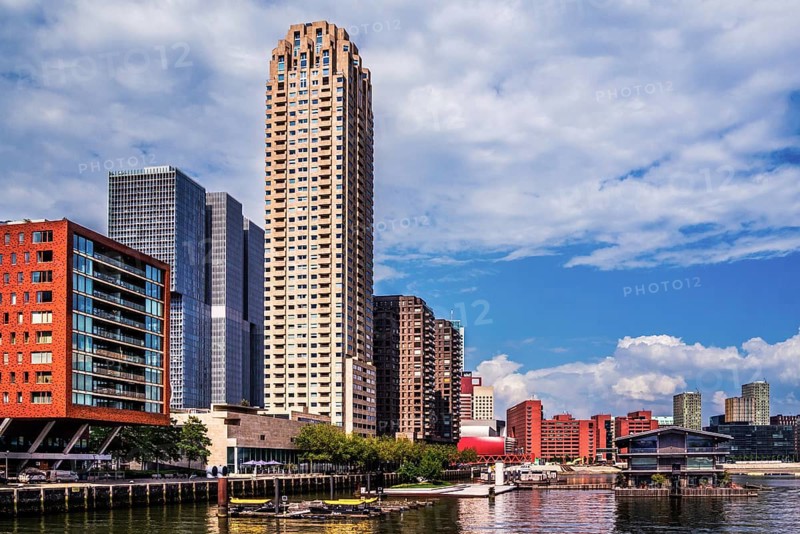 Modern architecture in the city panorama, Rotterdam, the Netherlands