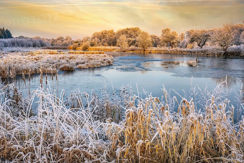 Winter hoarfrost at Ahlhorn fish ponds, Ahlhorn fish ponds, Ahlhorn, Lower Saxony, Germany