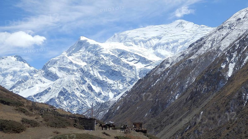 View of the Annapurna massif, snow-capped mountains under a clear blue sky with impressive views, trekking at Annapurna Circuit, Manang, Nepal