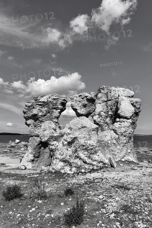 Raukar, limestone pillars, mythical creatures, coastline, monochrome, uninhabited island of Asunden, near Gotland, Baltic Sea, Sweden