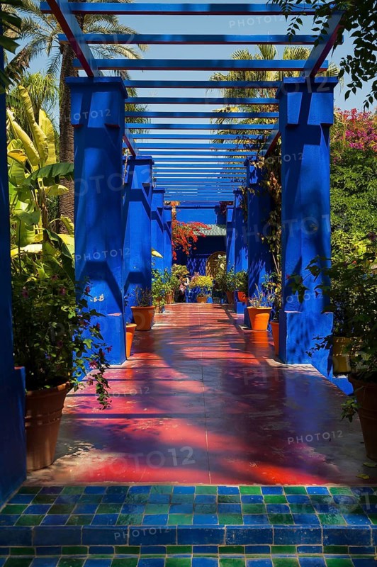 Flower decoration in the Majorelle garden, wall, clay plaster, indigo, blue, colourful, plants, balcony, terrace, decoration, architecture, detail, atmosphere, flower pot, Marrakech, Morocco