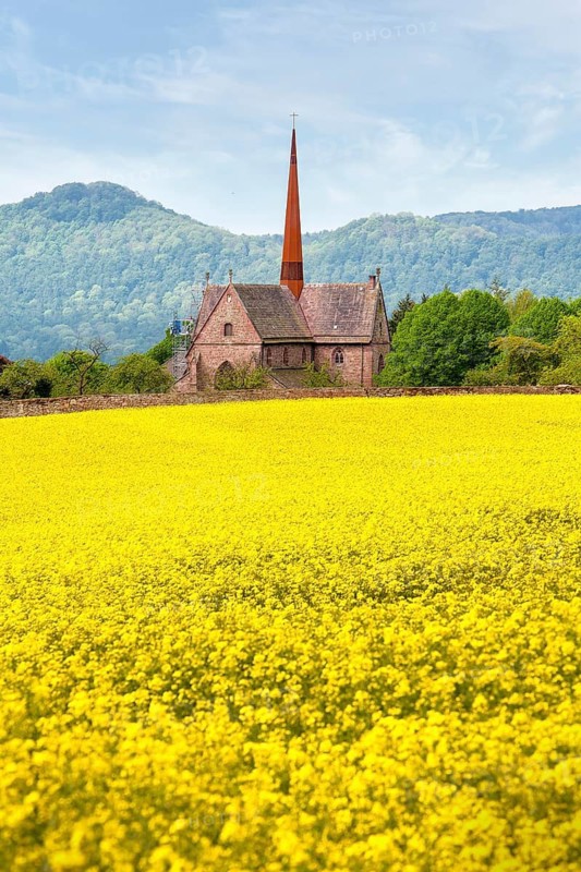 Amelungsborn Abbey, a Lutheran monastery, near Negenborn and Stadtoldendorf, Landkreis of Holzminden, Lower Saxony, Germany