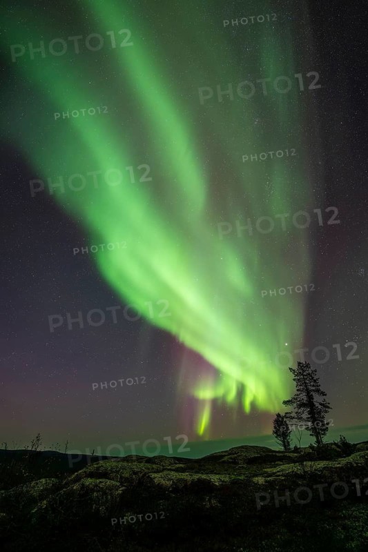 Northern Lights (Aurora borealis), Norrbotten, Lapland, Sweden, September 2024