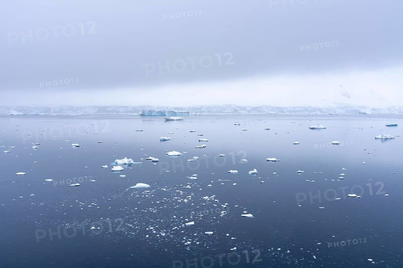 Drift ice and small ice floes on calm sea surface, glaciated coast under low-hanging cloud cover in the background, Wilhelmina Bay, Antarctic Peninsula, Antarctica