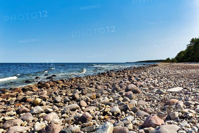 Rocky beach with large pebbles, distinctive coastal landscape, block beach, Trollskogen, nature reserve, Baltic Sea, Öland island, Kalmar län, Sweden