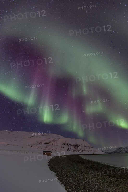 Green and violet northern lights, coast, aurora borealis, winter, snow, Repparfjord, Finnmark, Norway