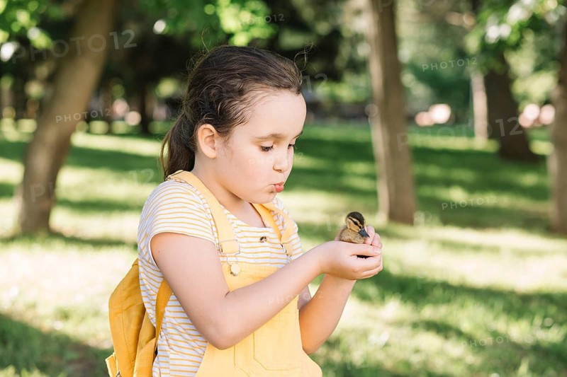 A young girl in a striped shirt tenderly holds a fluffy duckling in her hands, forming a connection marked by curiosity and affection in a lush outdoor setting