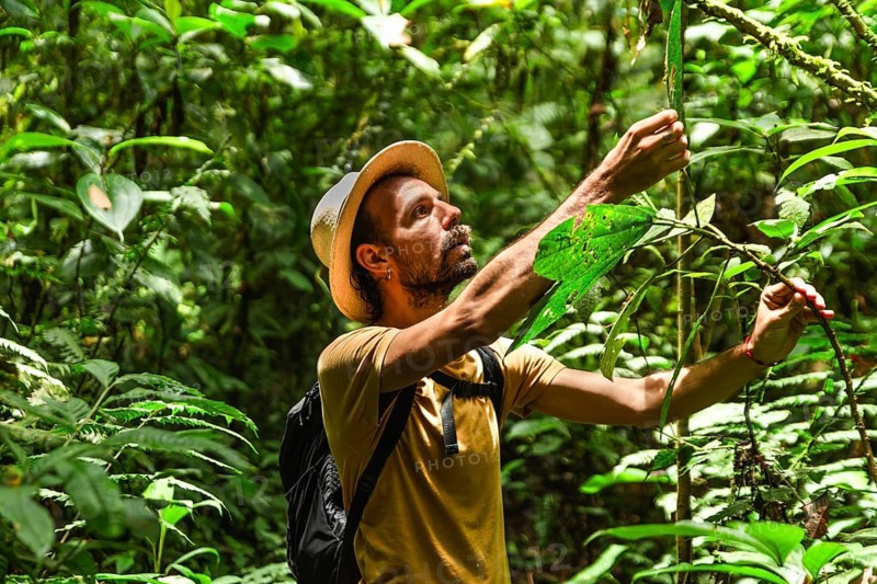 Spanish man examines plant life during a hiking trip in the Choco Andino rainforest of Ecuador. This image captures his connection with the biodiverse environment, promoting themes of ecotourism and sustainable travel