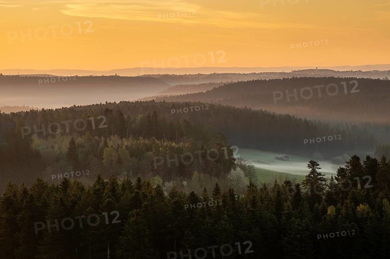 Sunrise and morning fog, Black Forest near Freudenstadt, Baden-Württemberg, Germany