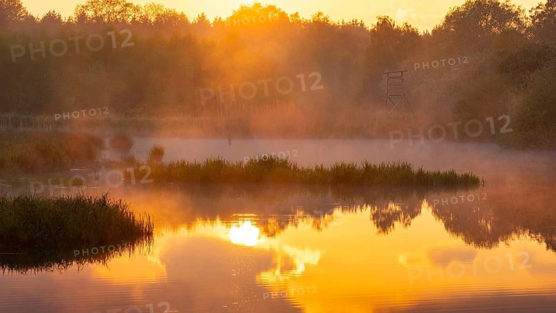 Sunset at Ahlhorn fish ponds, Ahlhorn, Lower Saxony, Germany