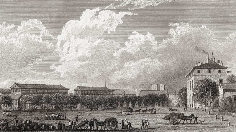 La halle aux vins de Paris, antique steel engraved print, 1831