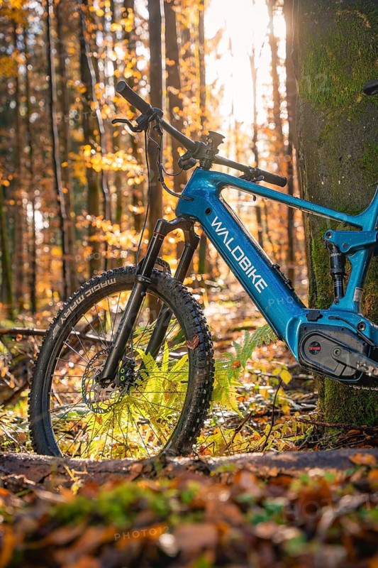 A blue mountain bike stands in the autumnal forest light on foliage, e-bike, forest bike, Calw, district of Calw, Black Forest, Germany