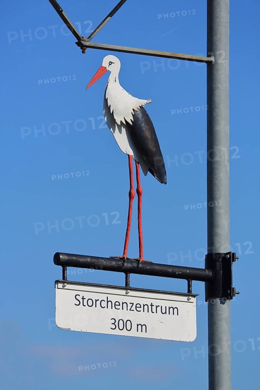 Street lamp with stork figure and sign to the stork centre 300m away, symbol for stork village, decoration, grapes, pole, detail, distance, metre, Palatinate, Bornheim, Southern Wine Route, Rhineland-Palatinate, Germany
