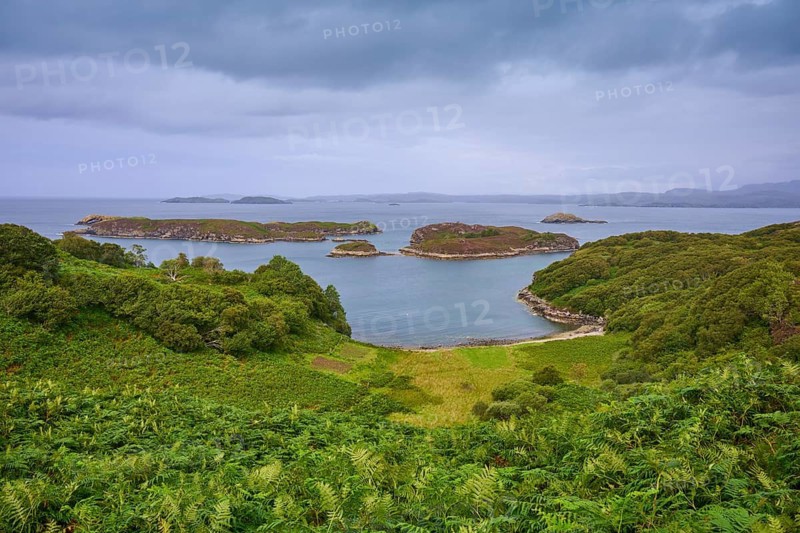 Wooded islands in a calm ocean with cloudy skies and lush vegetation, Drumberg Viewpoint, Drumbeg, Lairg, Scotland, United Kingdom, Great Britain