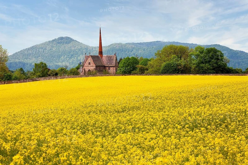 Amelungsborn Abbey, a Lutheran monastery, near Negenborn and Stadtoldendorf, Landkreis of Holzminden, Lower Saxony, Germany