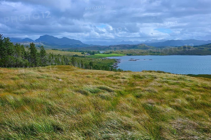 Grassy landscape with view of forest and lake under clouds, Loch Torridon, Balgy, Strathcarron, Scotland, United Kingdom, Great Britain