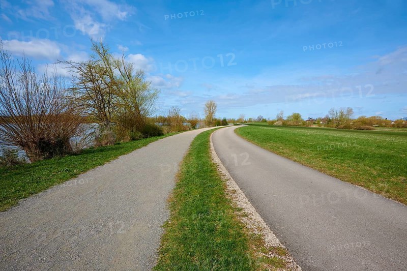 A sunny cycling and hiking trail through a rural landscape with blue skies and bare trees, Altmühlsee, Muhr am See, Gunzenhausen, Franconian Lake District, Middle Franconia, Bavaria, Germany