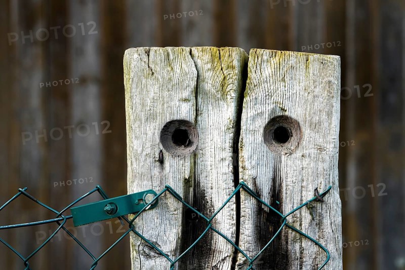 Old fencing post, looks like a face