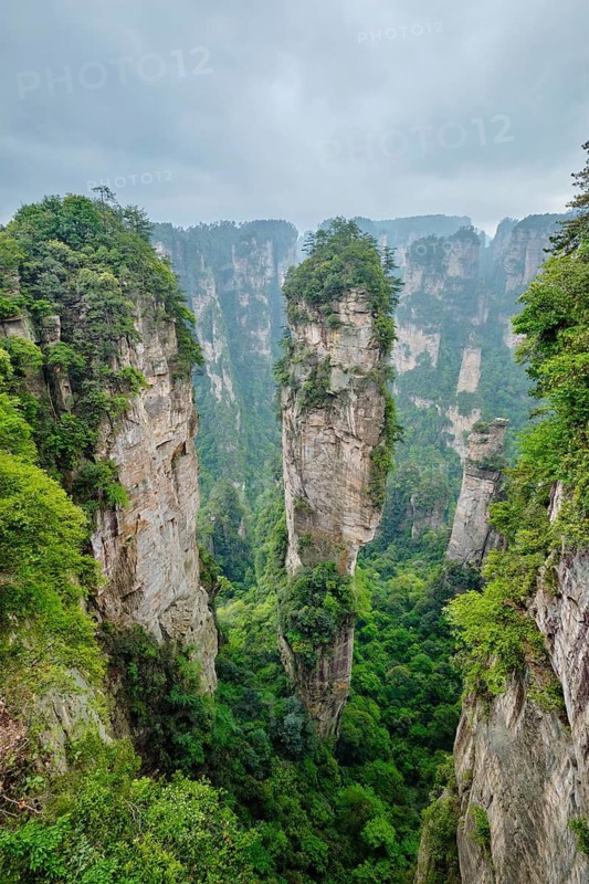 Famous tourist attraction of China, Avatar Hallelujah Mountain in Zhangjiajie stone pillars cliff mountains at Wulingyuan, Hunan, China