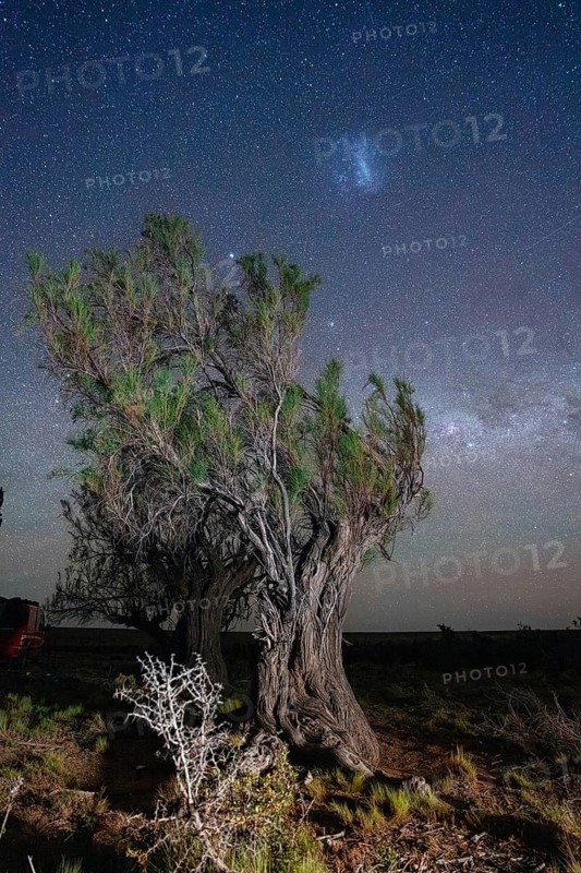 Milky Way over Patagonia, Tres Cerros, Santa Cruz, Argentina
