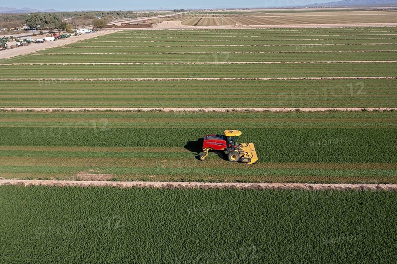Buckeye, Arizona - A tractor cuts alfalfa on a farm in the Arizona desert. Alfalfa uses a lot of water, which is a problem as the water supply in the western U.S. dwindles
