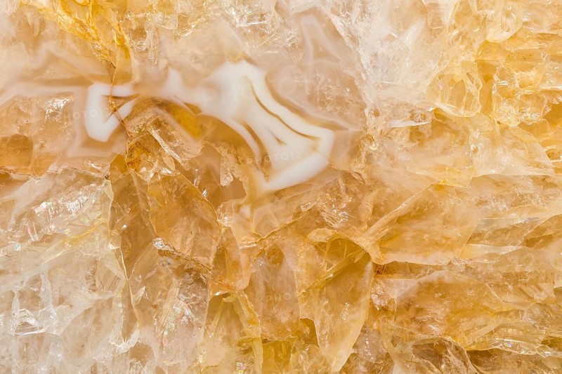 Detailed macro shot of an agatized limb cast, showcasing intricate patterns of agate within petrified wood Features golden, white, and translucent hues with stunning crystalline textures