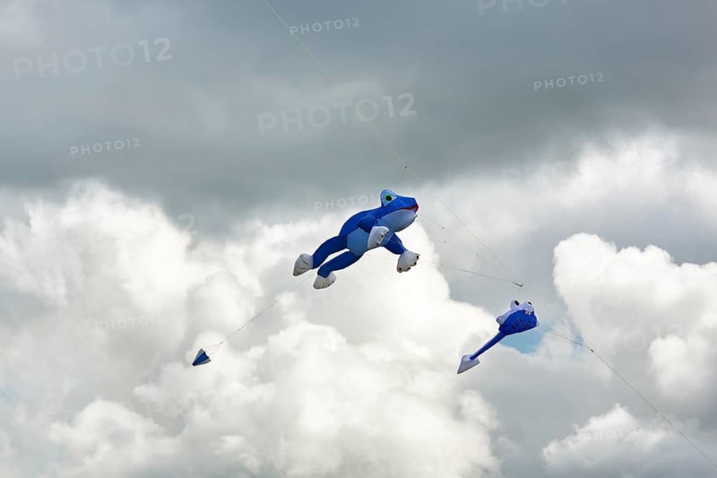 Two kites flying in front of rain clouds, blue frog and tadpole, kite festival in Vinsebeck, Steinheim, Eggegebirge nature park Park and southern Teutoburg Forest, Weserbergland, North Rhine-Westphalia, Germany